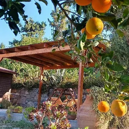 Appartamento Levantes Garden House - *