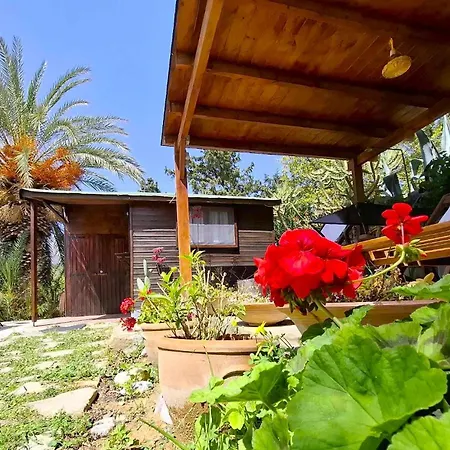 Levantes Garden House - Appartamento
