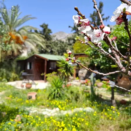 Appartamento Levantes Garden House -